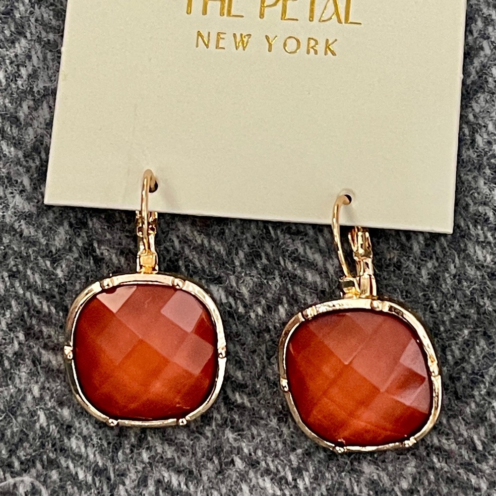 Gold and Brown Earrings